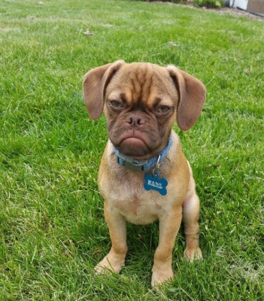 10421311_963722420391375_8734792172695947255_n