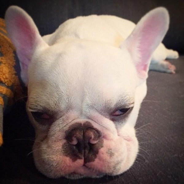 10955263_963722900391327_8411781465884960684_n