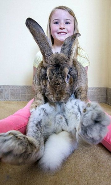 10986800_965326960230921_7413257564357197353_n