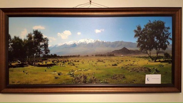 11027489_1594326824160287_5178288779683578096_n (1)