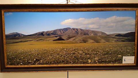 11041712_1594326767493626_2762885290773124_n