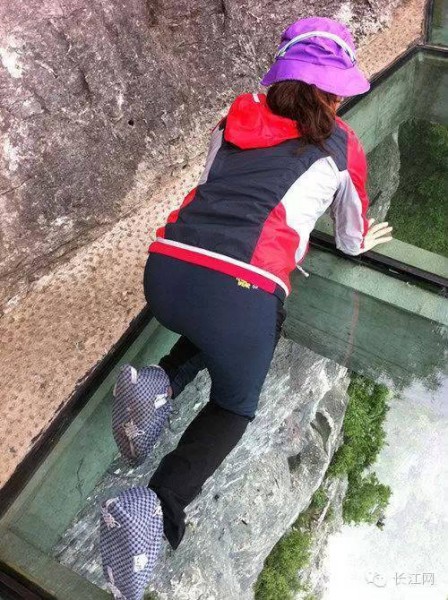 11205607_955379787892305_7804440209025955641_n