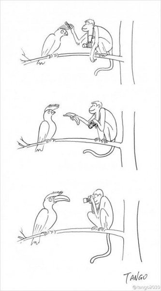 11214327_828776893874280_6429864211808148951_n