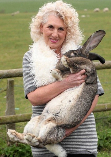 11232986_965327080230909_4643589210026881087_n