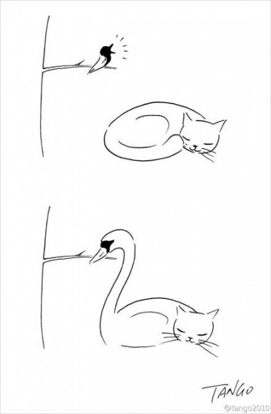 11253741_828776877207615_274424254487024458_n