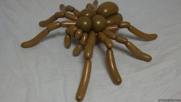 11328930_945543422162953_764556053_n