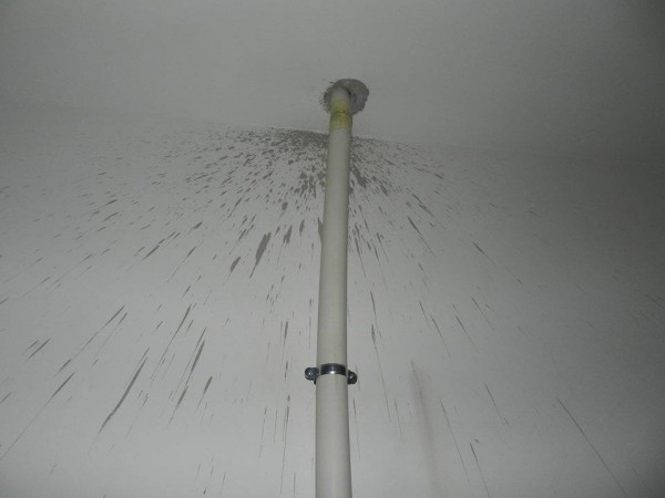 11349114_762775730503527_288079099_n