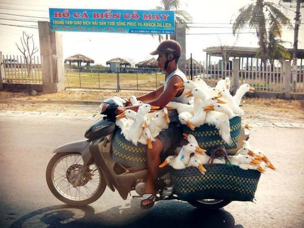 11391171_956861634410787_7304211264034792495_n