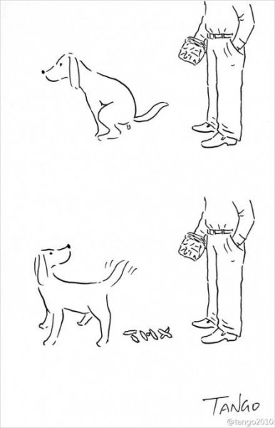 11406963_828776883874281_10859946984541659_n