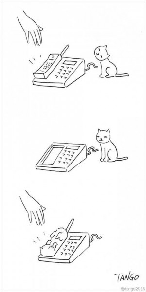 11427660_828776737207629_6178308701414510943_n