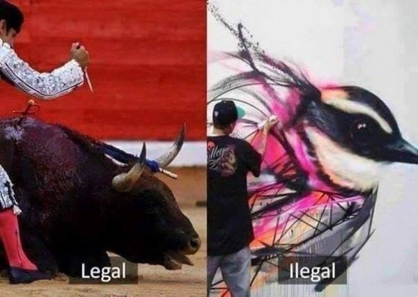 11427673_834363433328084_5195964607960371833_n