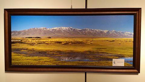 11537805_1594326784160291_598081646520001299_n