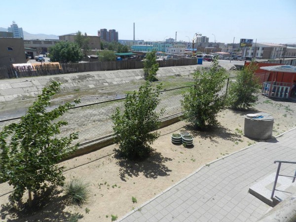 11637836_762775770503523_195439097_n