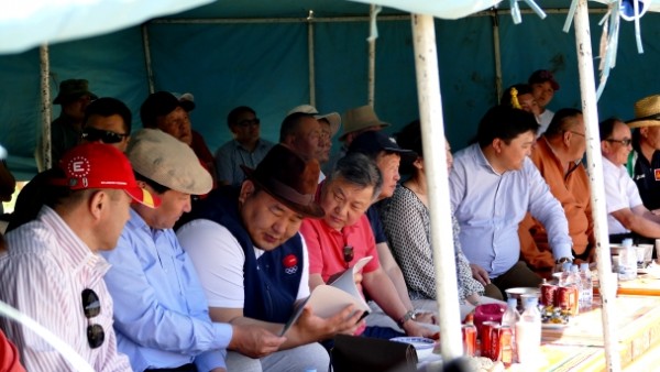 14350207395588adc35105a