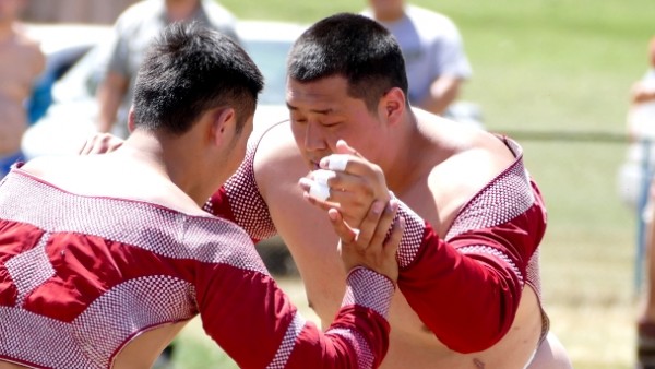 14350210955588af2715ab5