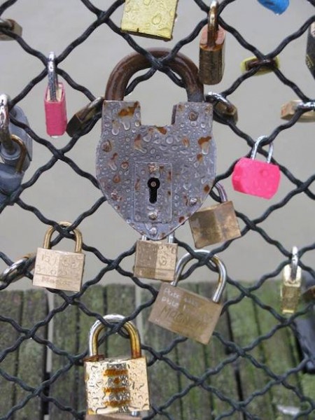 1475944_958223987607885_3218903047338115_n