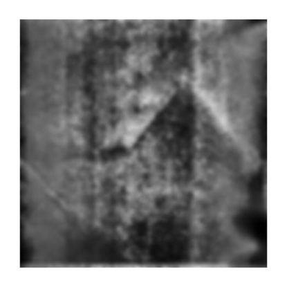 1798199_10202704761732052_83845643_n