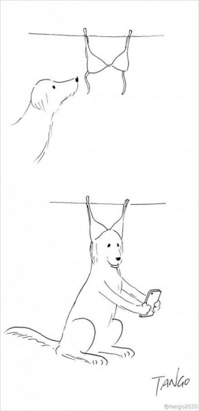 1977046_828776717207631_8045091418415700204_n