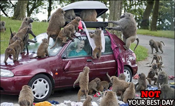 244eb135-b29e-4c16-9910-e94937292fb0