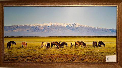 549396_1594326804160289_7840311822758728687_n