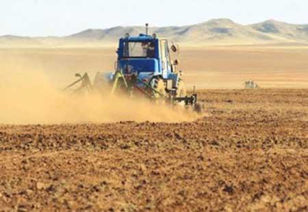 5689195d6afabfccoriginal