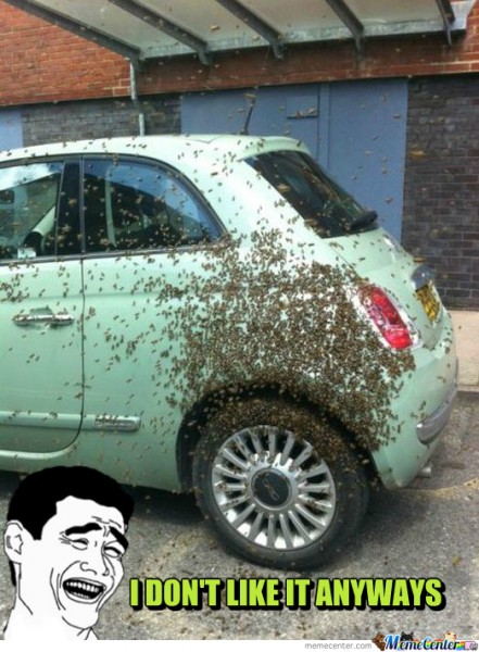 e2f042be-dd7a-4167-b21c-87a0b09d8c9f