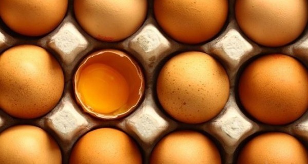 nestfresh-non-gmo-project-certified-dried-eggs-e1386616957350