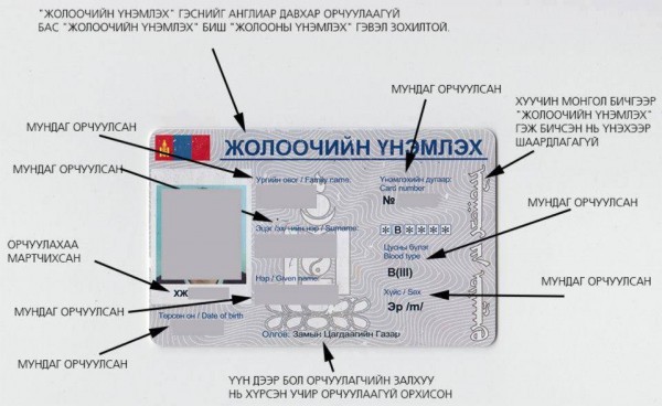 11063806_559767054127089_995731986448984348_n
