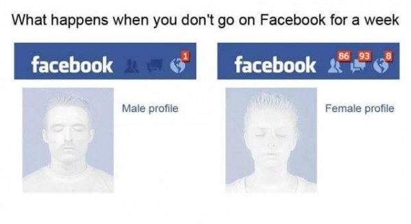 11390228_1588219214762549_4941255249399740478_n