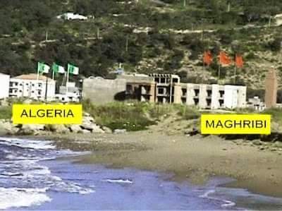 11659262_1040383312653694_163330058196007442_n