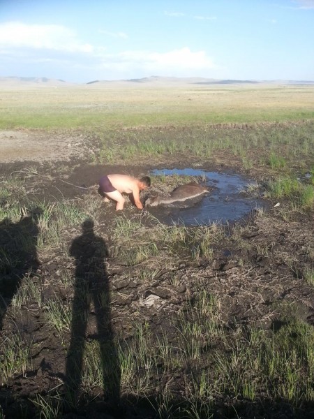 11733400_525693810918299_1966477602_n