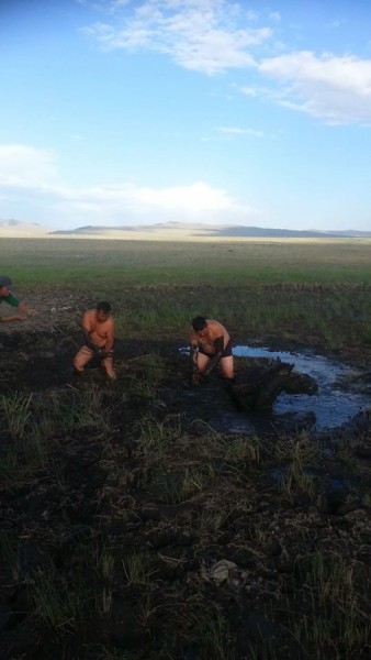 11736972_525787457575601_1187562454_n