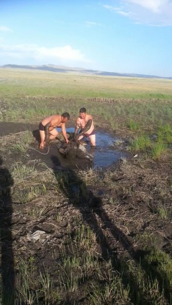 11758797_525787394242274_1657911211_n