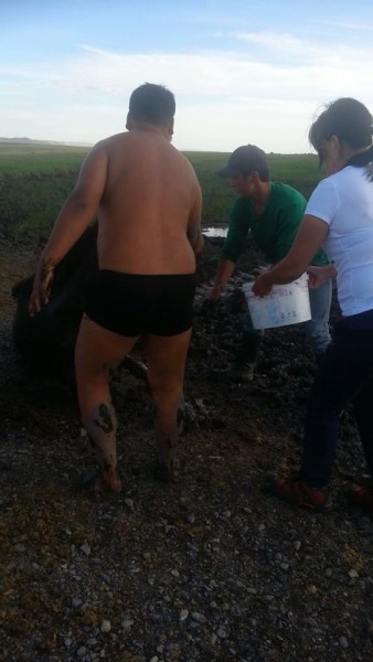 11759000_525787824242231_1741041263_n