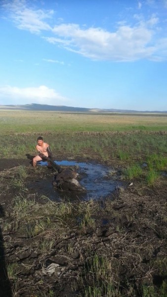 11759372_525787440908936_1784080825_n