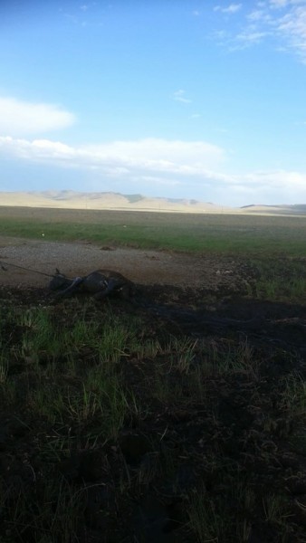 11759548_525787594242254_1694163726_n