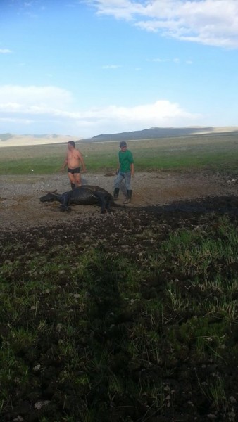 11759689_525787634242250_1406953690_n