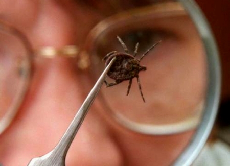 143683850655a46a6a0e730