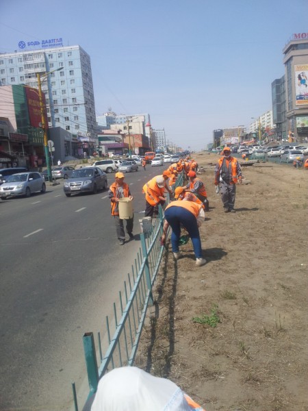 20150704_121106-768x1024