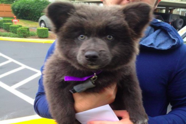 2aba9gvd5neg7vgdf03ts74eql