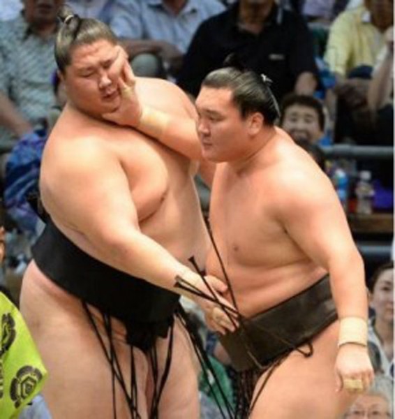 44856jgicfrksf3ppg24hgnimn