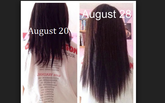 591hftovuardcf07mfgegja92u (1)