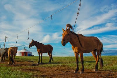 91b6a66c88f275a0original