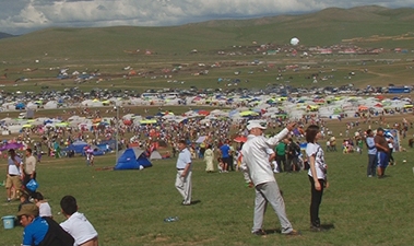 a81f4cfe4b1da146original