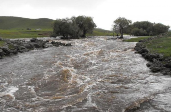 b4ea6fb5978314d0great