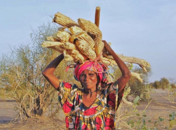 ee074b208cd7ddec301d6ba242d44430_3005