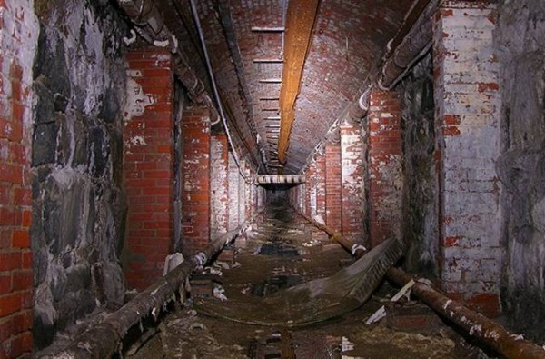 rxbvgkxjjdw7sesu0iox