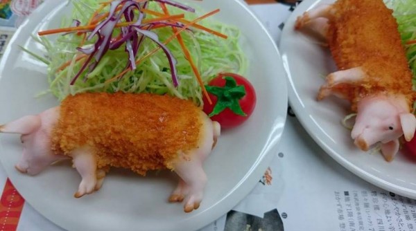 11798297_968884813132660_1193935685_n