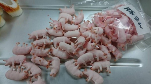 11823962_968884809799327_1807153761_n