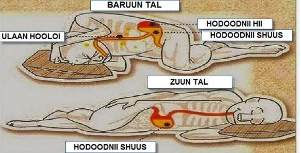 11855692_505526172934285_4388147343618610638_n